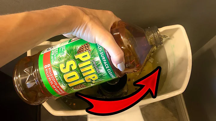 Put $1 Pine Sol in your TOILET TANK & WATCH What H...