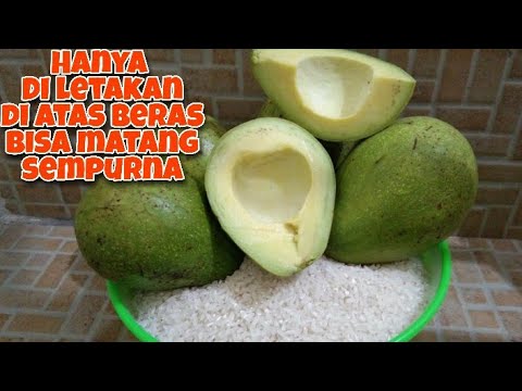 Video: Cara Mematangkan Alpukat