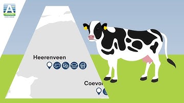 Royal A ware Animatie Onze Zuivelketen NL ENGsubs