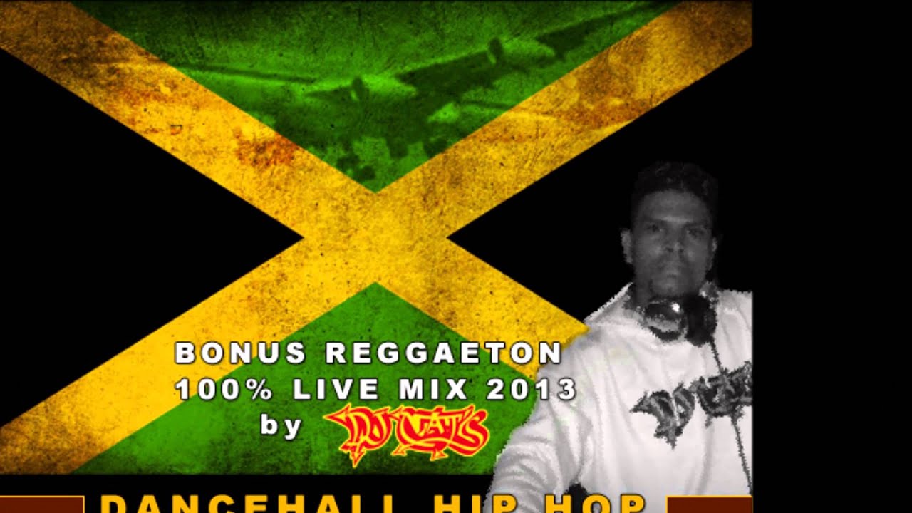 DJ NAT'S BEST OF JAMAICAN DANCEHALL HIP HOP LIVE MIXX 2013 + BONUS