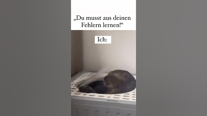 Aus Fehlern lernen?! 🤣😂 #lustig #humor #comedy #funny