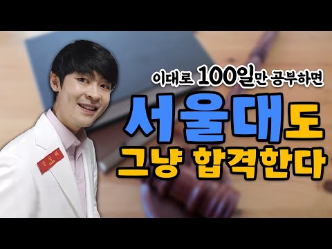 이대로 100일만 공부하면 <strong>서울대도</strong> 그냥 합격한다. (※ 로스쿨 공부법)