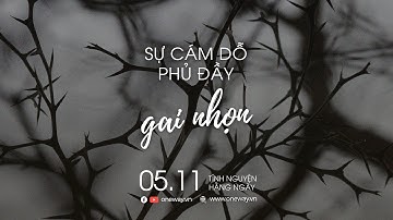 Sự Cám Dỗ Phủ Đầy Gai Nhọn | Oneway Radio - Tĩnh Nguyện Hằng Ngày 05/11/2022