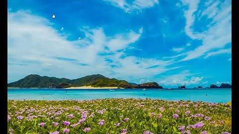 Install Apache, PHP, and MySQL - Video 2 - PHP