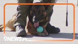 New memorial new honors K-9 officers
