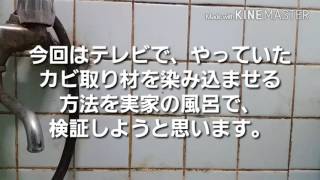 【閲覧注意】実家の風呂のカビ取り！