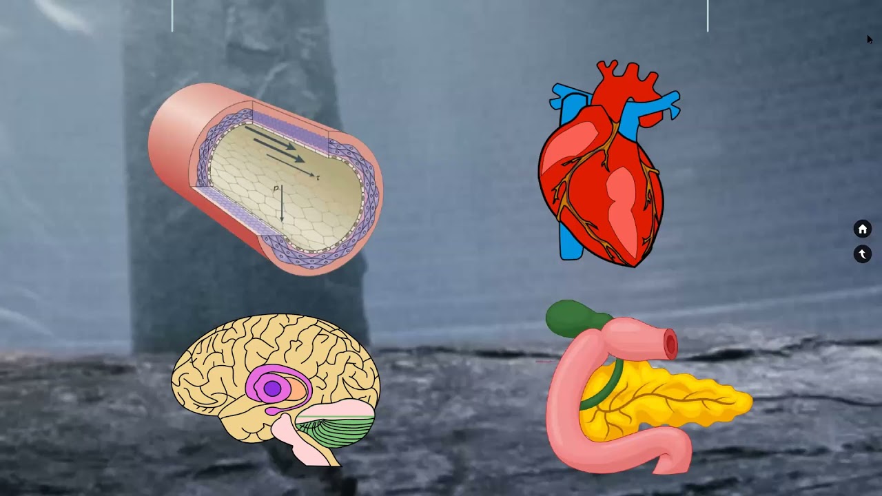 Trauma and Emergency Series - Toxicology the management of Calcium Channel Block Overdose