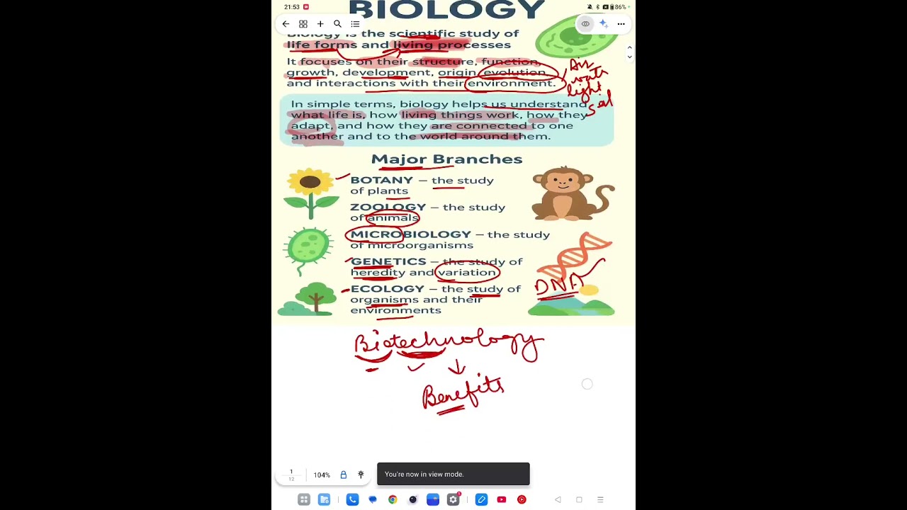 Class 11 Biology introduction , Unit 1 : Diversity in the living world