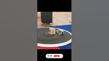 Sumo Robot Error Competition Egypt 2023  #house_of_robots