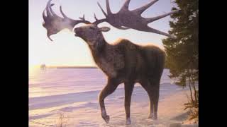 Walking With Beasts 2001 Megaloceros 🦌🦌🦌🦌🦌🦌🦌