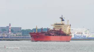 NAVIGATOR MAGELLAN - IMO 9157478 - Ship Spotting 4K