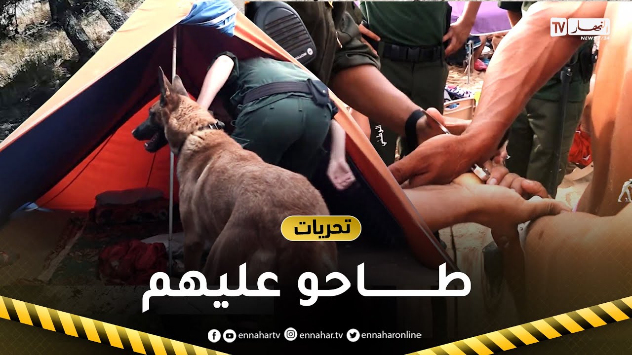 تحريات..   مداهمات فجائية لرجال الدرك الوطني بالشواطئ في مشاهد حقيقية