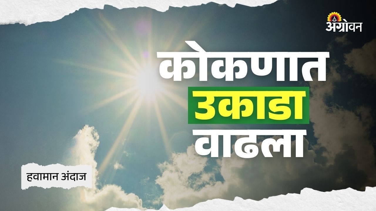 Weather Update : विदर्भ आणि मराठवाड्यात उन्हाचा चटका वाढला | Agrowon