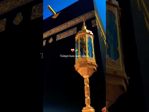 A beautiful reminder: Allah hears everywhispered dua."#Quran Reminder#IslamicPost#MuslimCreator#Deen