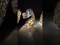 Sea stained glass owl light
