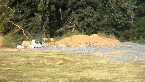 Southern thunder exploding target 1/2 lb in pa