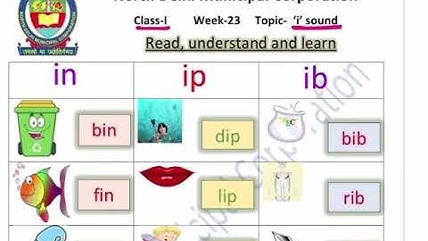 Class 1 | i sound | English Week 23 FirstStep | worksheet solution
