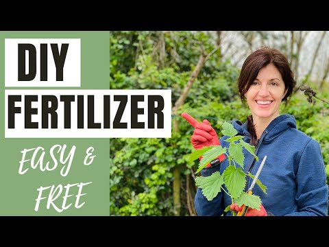 Make your own nettle fertiliser - Mud & Bloom
