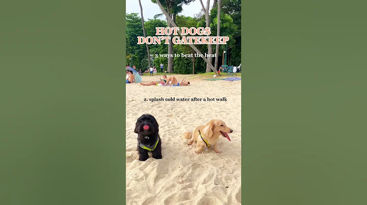 Hot dogs need to stay cool 🌭 tips for keeping your dog comfortable #animalbuzzsg #pethealth - DayDayNews