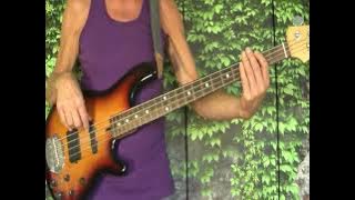 Cher - Believe - Bass Cover