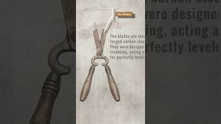 Old Hedge Shears - Rust Removal Ep 4 | Vinegar & Baking Soda