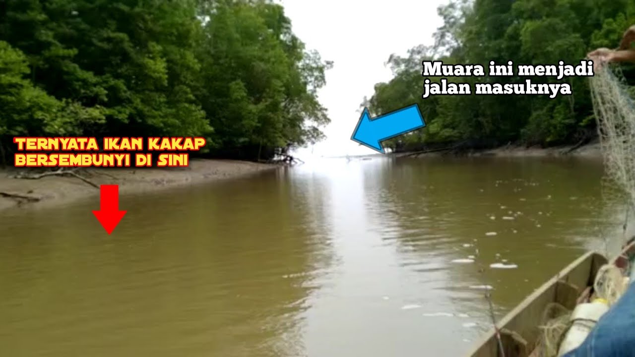 Begini jadinya jika sungai yang sudah lama tidak di datangi orang di pasang jaring