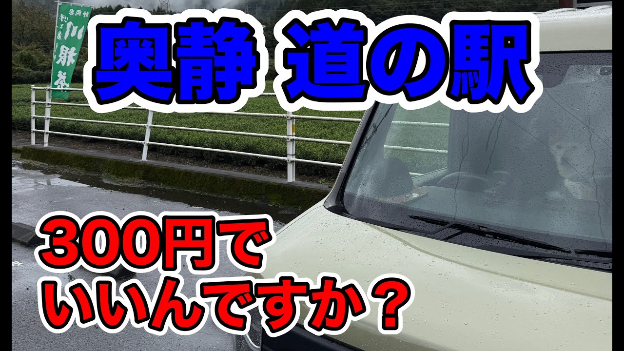 【N-VAN旅】たった300円で高級茶を楽しめる道の駅へ/静岡県の奥静をめぐり焼津で駿河湾の幸に舌鼓♪