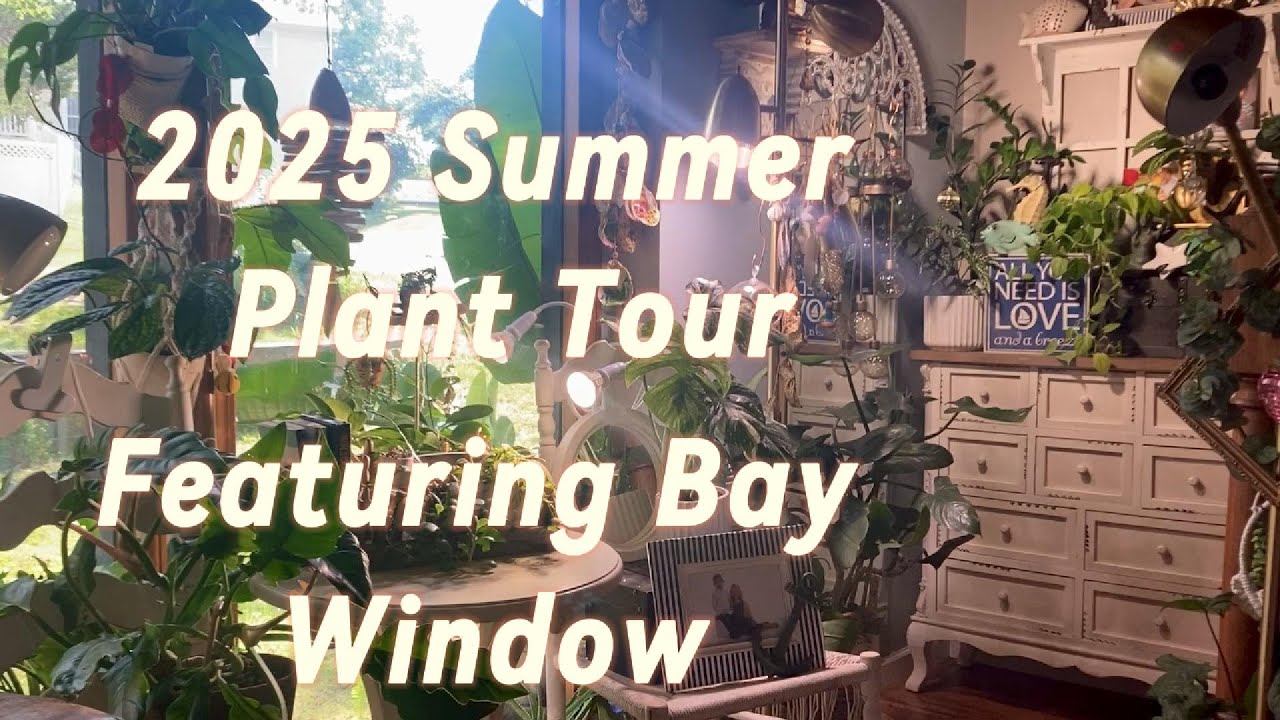 Summer Plant Tour - featuring the bay window plants