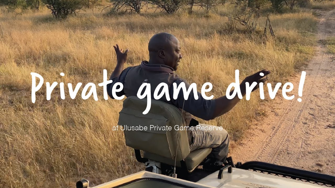 Private Game Drive South Africa: Elephant Bull