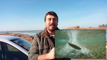 FITEC Newest Cast Net Models