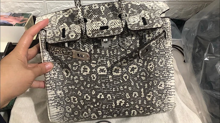Hermès Birkin 25 Lizard Skin Bag