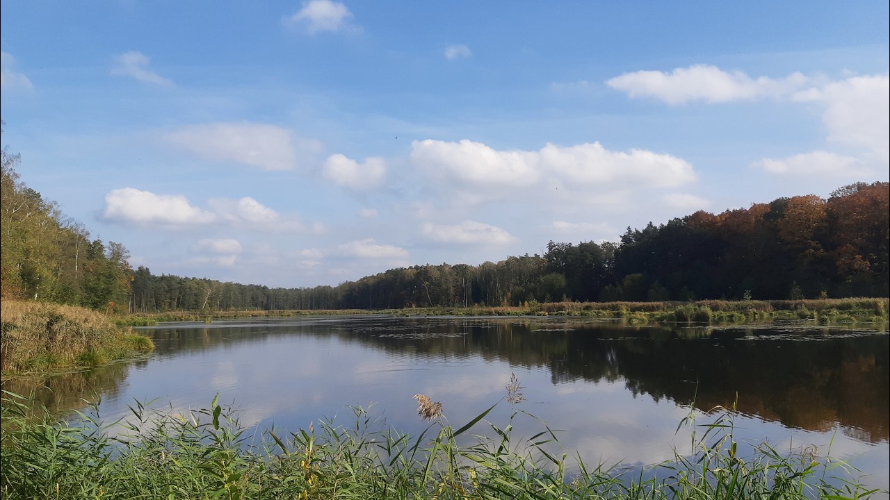 Bobrówka, jesień 2022