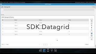 SDK Datagrid Demo