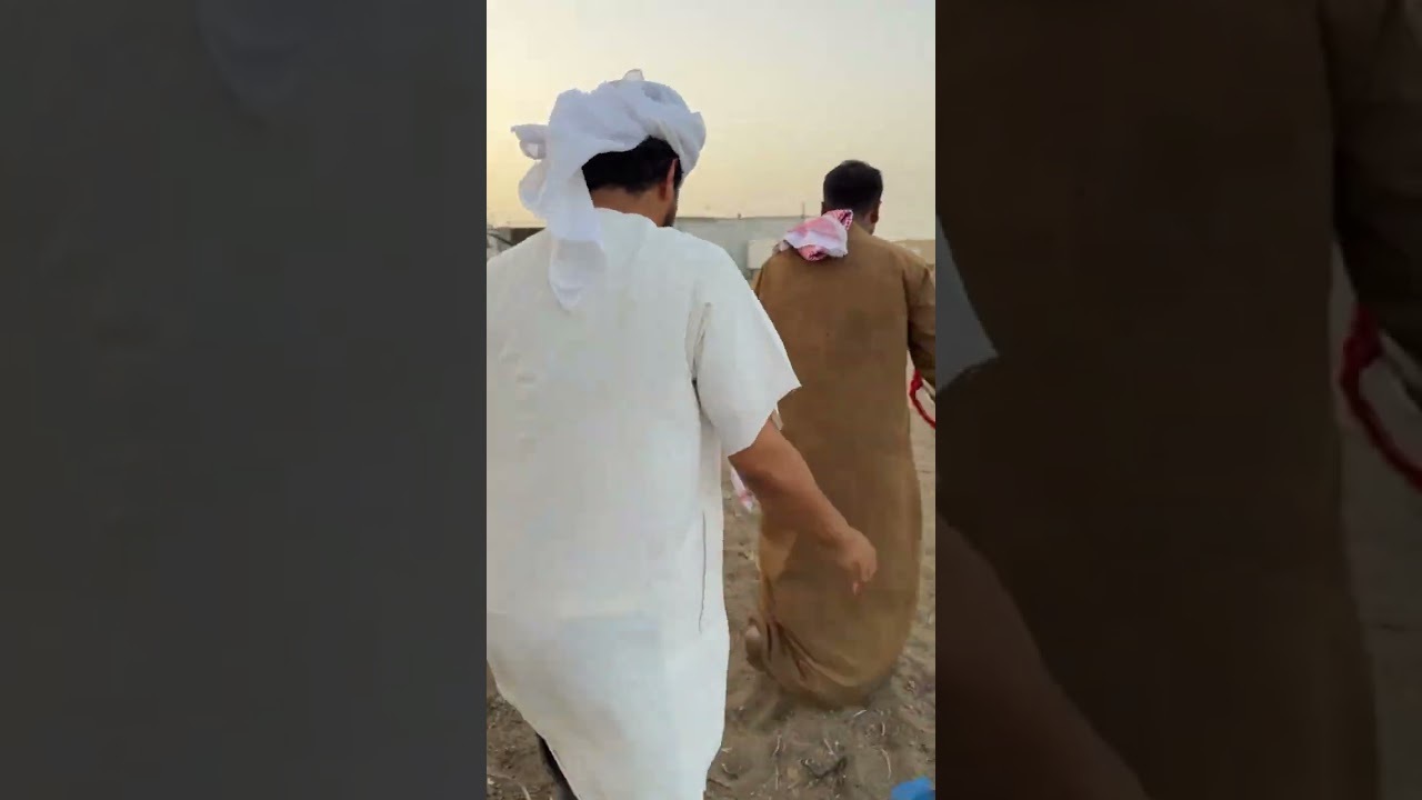 العود خذو عنه الايسكريم وتخبل🤣🔥