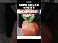 5등분의 신부 요츠바 실사판 공개