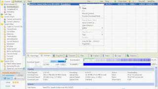 make bittorent,bitcomet,utorrent,azure faster