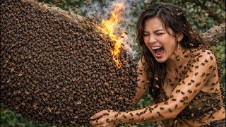 A dramatic wild honey hunt – A stunningly beautiful golden honeycomb