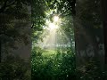 Morning_devotional_song #status #shorts #devotional #nature