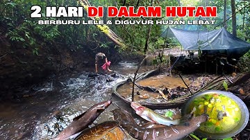 camping di guyur hujan deras berburu lele lembat dapat banyak ikan lele di sungai jarang terjamah