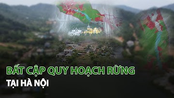 Bất cập Quy Hoạch Rừng tại Hà Nội| VTC14
