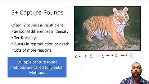 Mark Recapture Background and Program MARK project.