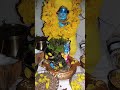 #krishnalove #vishu2026