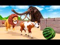 Woolly Mammoth, Cow Cartoon vs Giant Lion Escape From Pc Maze Game |Cow Collecting Giant Watermelons