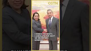 Chinese FM Wang Yi meets candidate for next UN secretary-general Carolyn Rodrigues-Birkett