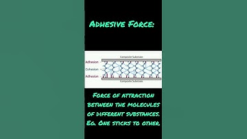 cohesive and adhesive force.