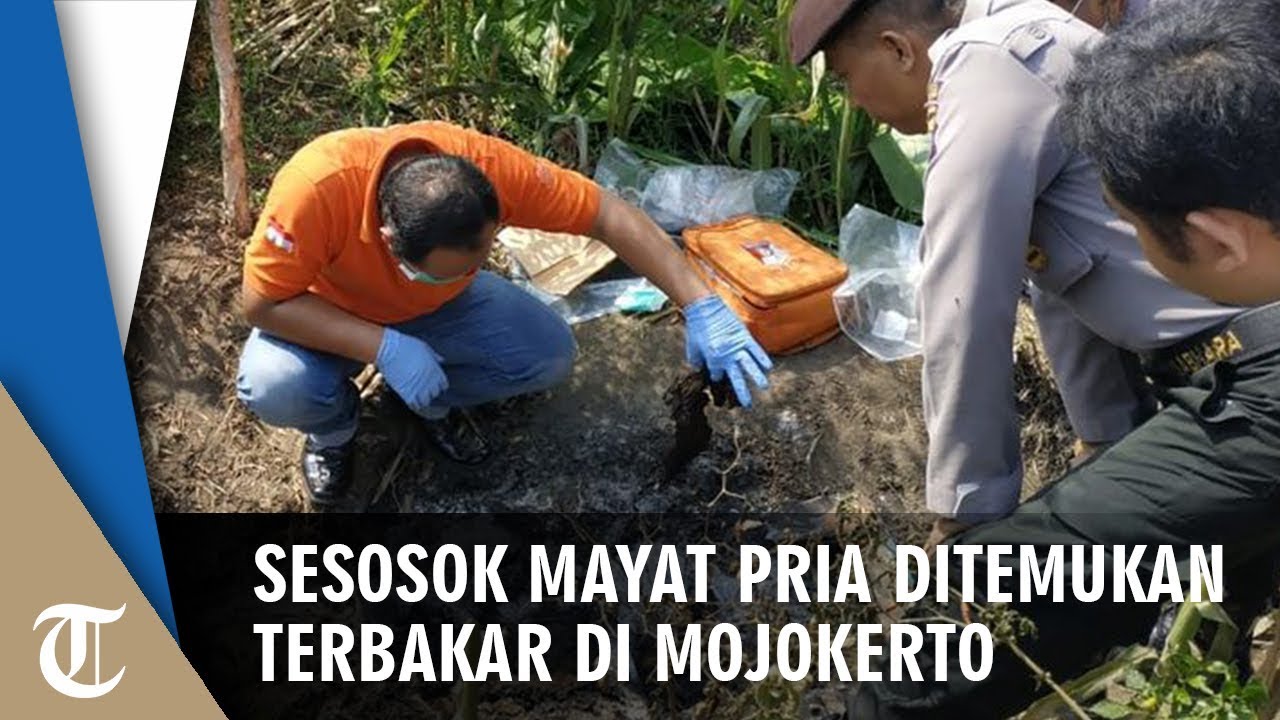 Mayat Pria Ditemukan Hangus Terbakar di Mojokerto, Pakai Kaos Bertuliskan 'Polisi' camera iphone 8 plus apk