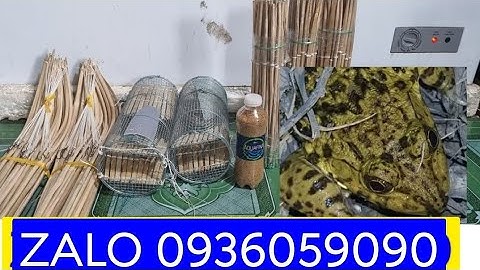 Bán lợp ếch. Bán cần câu ếch. Bán chai mùi bẫy ếch. Bán bẫy ếch. bán lợp ếch 2 đầu.