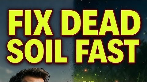 3 Lazy Soil Fixes Every Gardener Should Know — The Shortcut That Fixes ANY Soil Fast