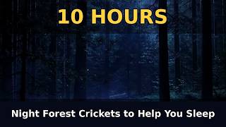 Cricket Sounds for Sleeping | 10 Hours of Night Forest Ambience screenshot 5