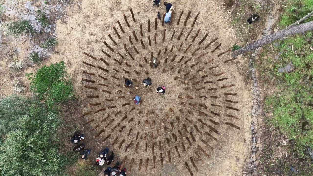 Tempio, arte e natura a Curadureddu: inaugurate le nuove opere del Museo Organica